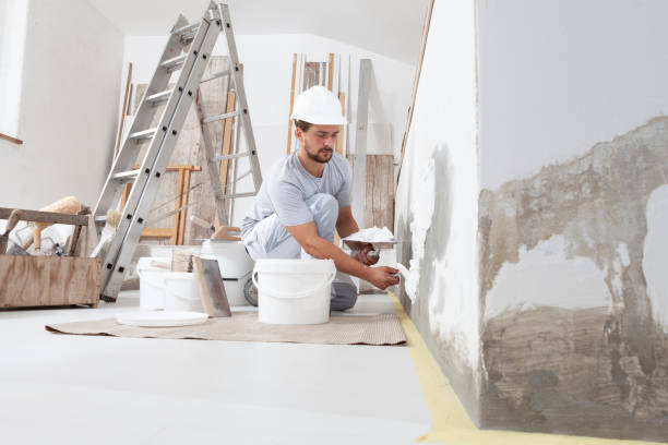 Best Repainting for Renovations  in Ansonia, OH